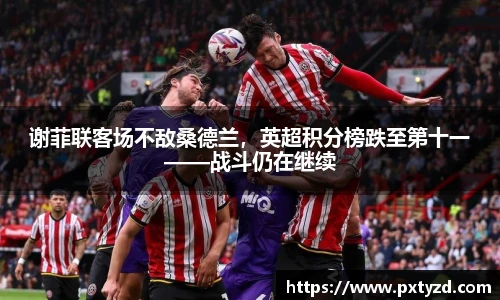 谢菲联客场不敌桑德兰，英超积分榜跌至第十一——战斗仍在继续