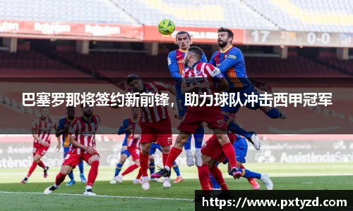 欧博abg官网